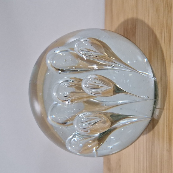 #AAM Handblown clear glass paper weight - Picture 2 of 7